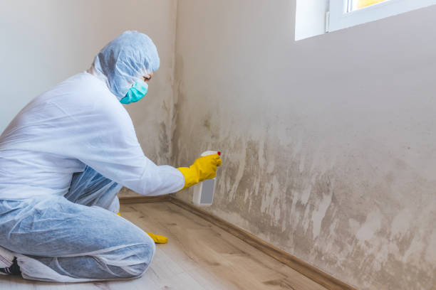 Crawl Space Mold Remediation treatment of floor joists in Lehigh Acres